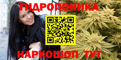 метамфетамин Ливны