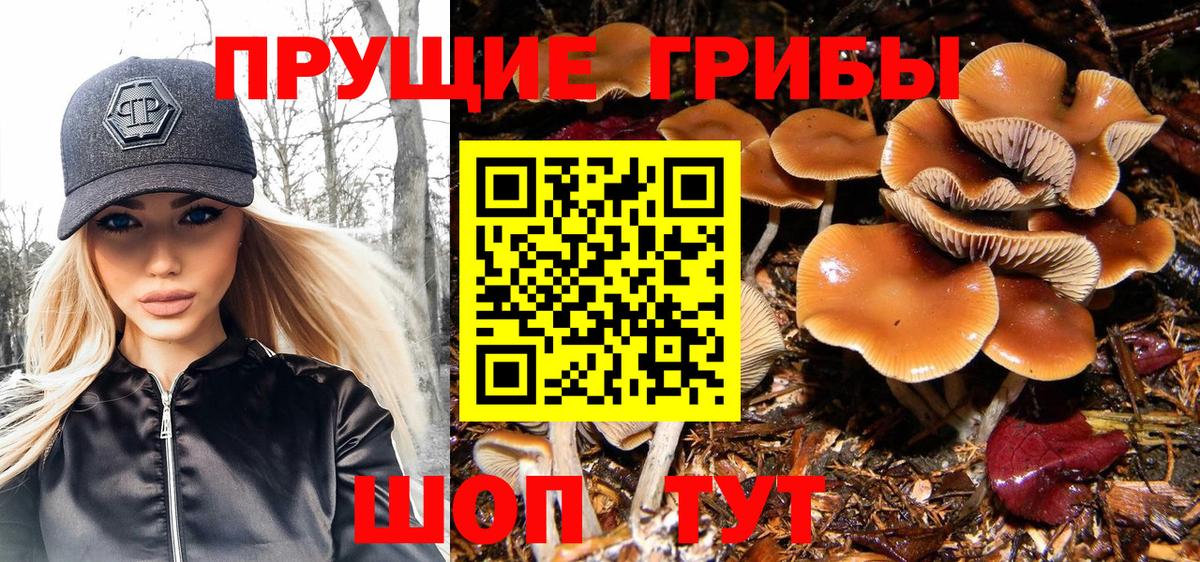 Усть-Джегута  Псилоцибиновые грибы ЛСД  Вход с VPN 